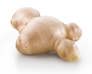 Pedaço de gengibre em fundo branco