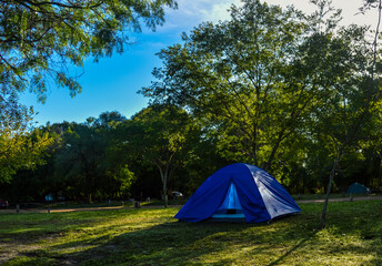 acampando en carpa en el pasto  bajo los arboles