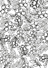 Antistress, coloring page, for relaxation with small apples and many leaves