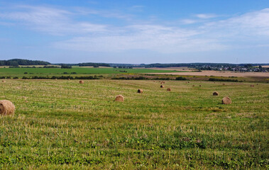 Aerial view of agro fields with harvesting and haystacks