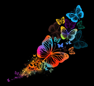 Abstract multicolored butterflies with splashes of paint. on a black background Vector illustration