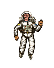 Monkey astronaut waving hand. Chimpanzee spaceman cosmonaut character. Fashionable animal. Hand drawn Engraved old monochrome sketch. Vector illustration for t-shirt, tattoo 