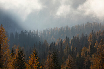 Autumn Season in the Italian Dolomites, Bolzano Italy