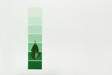 Green Color samples palette design catalog.