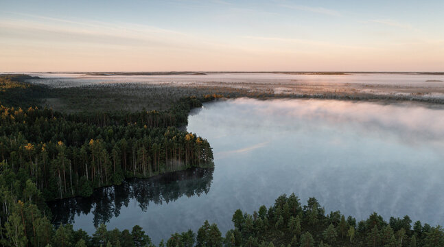 Aerial view over wilderness area with bog wetland and fog clad lake with the dawn colored sky background