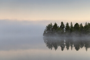 Tranquil bog lake with the tree-line reflections and dense fog on the sunrise colored dawn background