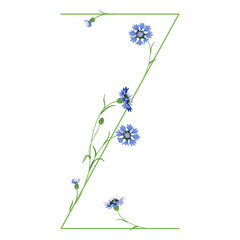 Beautiful letter Z with blooming branches of cornflower or knapweed plant (Centaurea). Floral font. Botanical alphabet with blue flowers. - obrazy, fototapety, plakaty
