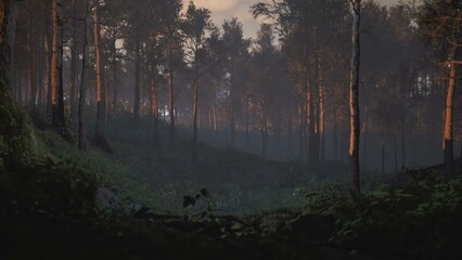 Path through dark magical forest at sunrise, beautiful old trees fantasy landscape, 3d rendering