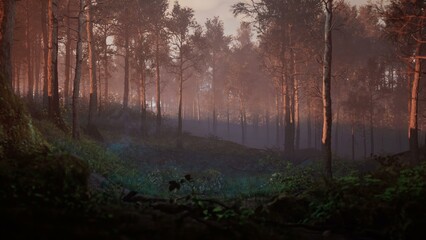 Path through dark magical forest at sunrise, beautiful old trees fantasy landscape, 3d rendering