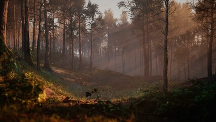 Path through dark magical forest at sunrise, beautiful old trees fantasy landscape, 3d rendering