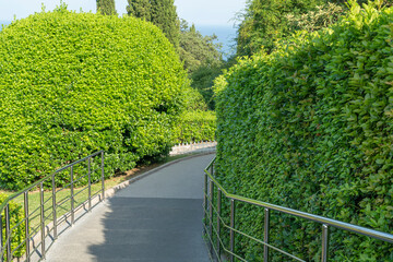 a stone path among the grass leading to nowhere