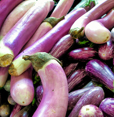 eggplants at the market