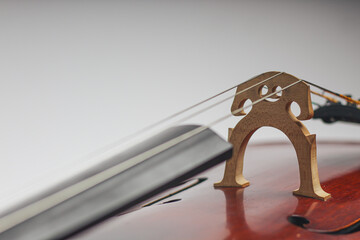 Photo for the Cello (Strings) © Abdelrahman