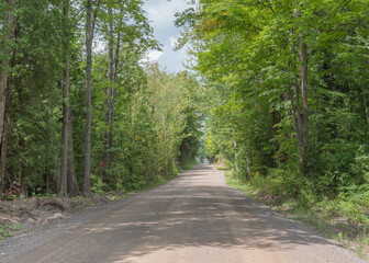 Country Roads in Halton