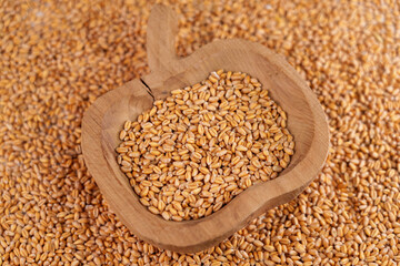 Whole wheat grains in rustic wooden bowl in a pile of raw seeds. Macro