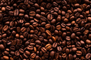 coffee beans macro isolated wide top view