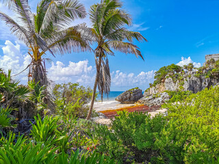 Obraz premium Natural seascape panorama view Tulum ruins Mayan site temple Mexico.