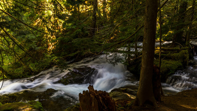 Panther Creek Falls in the Wind River Valley in Skamania County, Washington