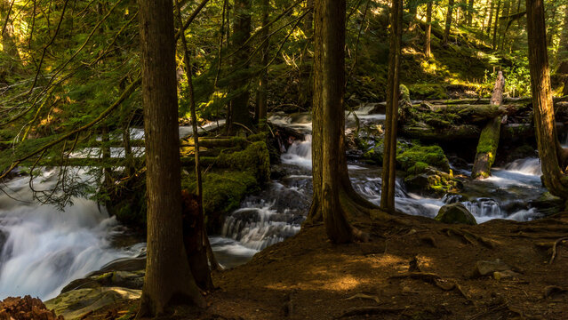 Panther Creek Falls in the Wind River Valley in Skamania County, Washington