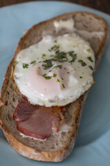 grilled ham and egg