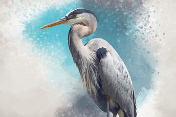 Watercolor - portrait of a heron. Hand drawn watercolor heron perfect for design greeting card or print.
