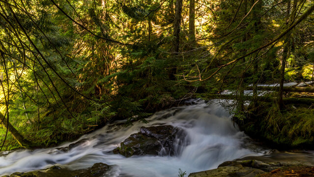 Panther Creek Falls in the Wind River Valley in Skamania County, Washington