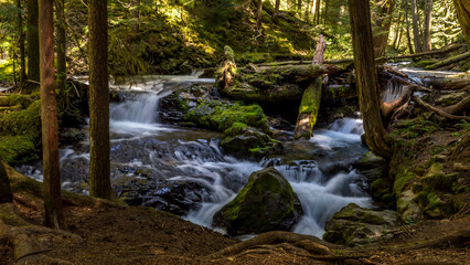 Panther Creek Falls in the Wind River Valley in Skamania County, Washington