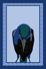 Angry Bird Crow Illustration