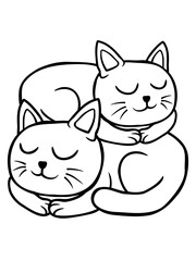 Aufeinander schlafende Katzen Paar 