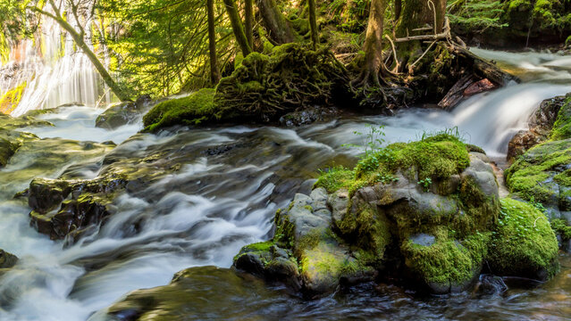 Panther Creek Falls in the Wind River Valley in Skamania County, Washington