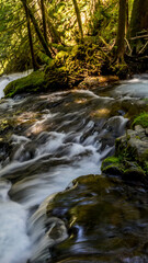 Naklejka na ściany i meble Panther Creek Falls in the Wind River Valley in Skamania County, Washington