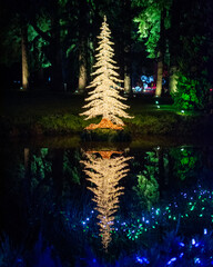 Christmas tree and reflection in the night