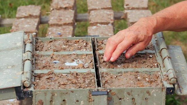 Making Paper Bricks from waste cardboards. ProRes 422HQ 12bit Mov. Energy crisis theme.