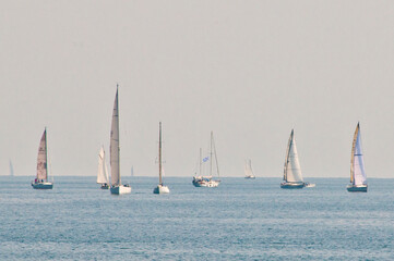 Obraz premium Barche a vela 