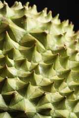 Fototapeta premium Closeup view of ripe durian on black background