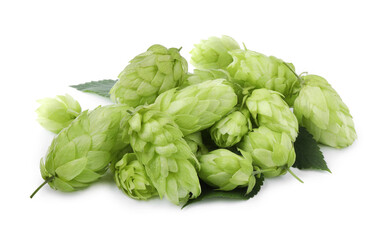 Pile of fresh green hops on white background