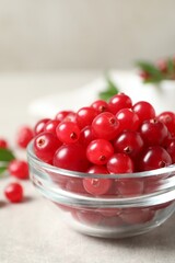 Fresh cranberry in bowl on light table
