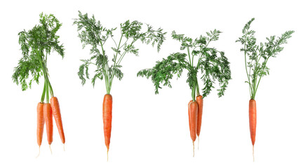 Set with different fresh carrots on white background. Banner design