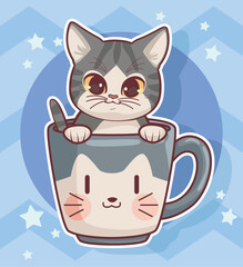 cat in cup with stars