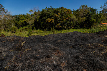 Terrenio urbano com registro de queimada ilegal em área urbana de Guarani, estado de Minas Getais,...