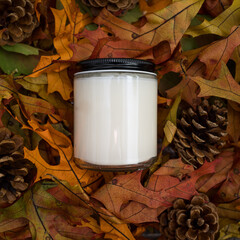 White candle lying on Fall leaves