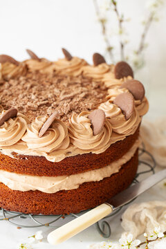 A two layer milk chocolate sponge cake filled with milk chocolate buttercream and garnished with chocolate buttons.