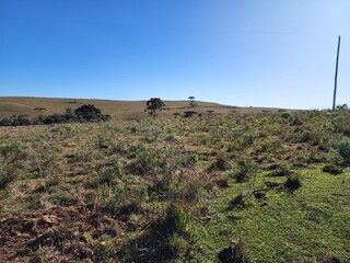 Obraz premium campo para pecuária