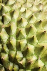 Fototapeta premium Closeup view of ripe durian as background