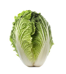 Fototapeta premium Fresh tasty Chinese cabbage isolated on white