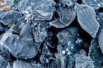 Heating with coal.Frozen texture.Heating season.First frosts and colds concept.coal in hoarfrost close-up.Coal industr.Buying and selling coal .