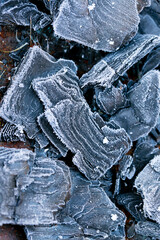 Frozen coal texture.Heating season.First frosts and colds concept.coal in hoarfrost close-up.Buying and selling coal .Purchase of coal for the heating period 