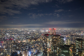Obraz premium a spectacular night view of Tokyo, Japan