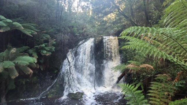 Hogarth Fall in Strahan on the West Coast of Tasmania, Australia