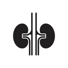 kidney icon. Simple kidneys icon. Symbol and sign vector illustration design. Editable Stroke. Isolated on white background